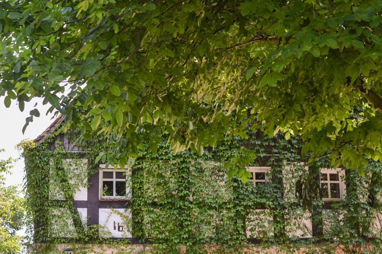 Naturferienwohnung Schopstal Kunnersdorf Exterior photo
